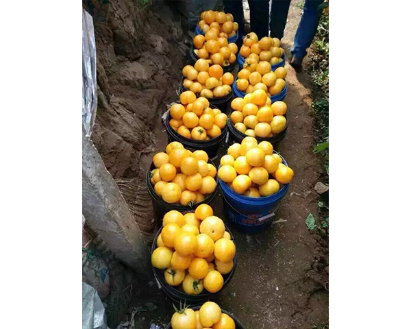 �������t���N��-��A�S���t��-���N�I(y��)