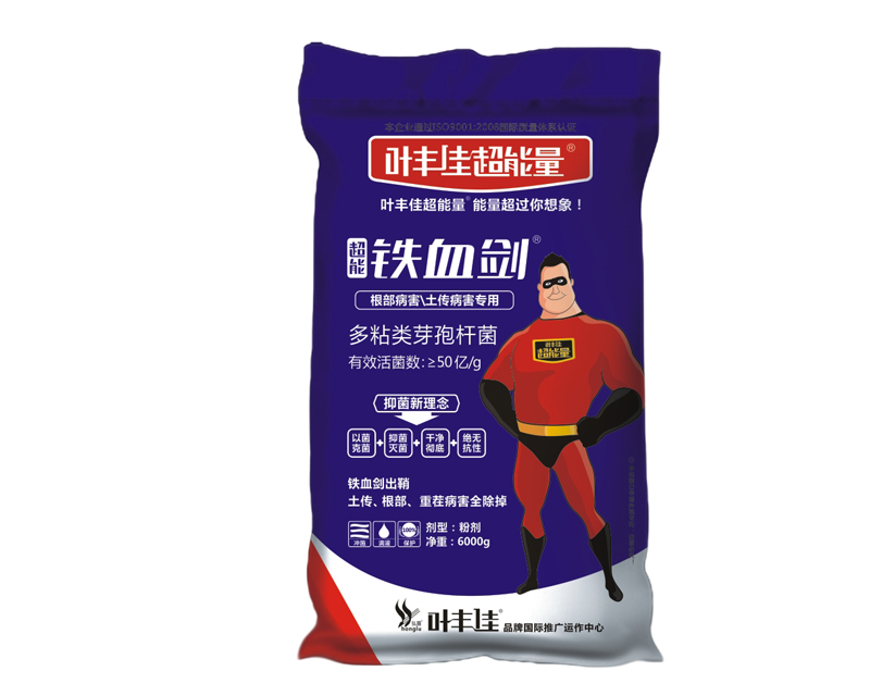 �����FѪ��-����������������������-���r