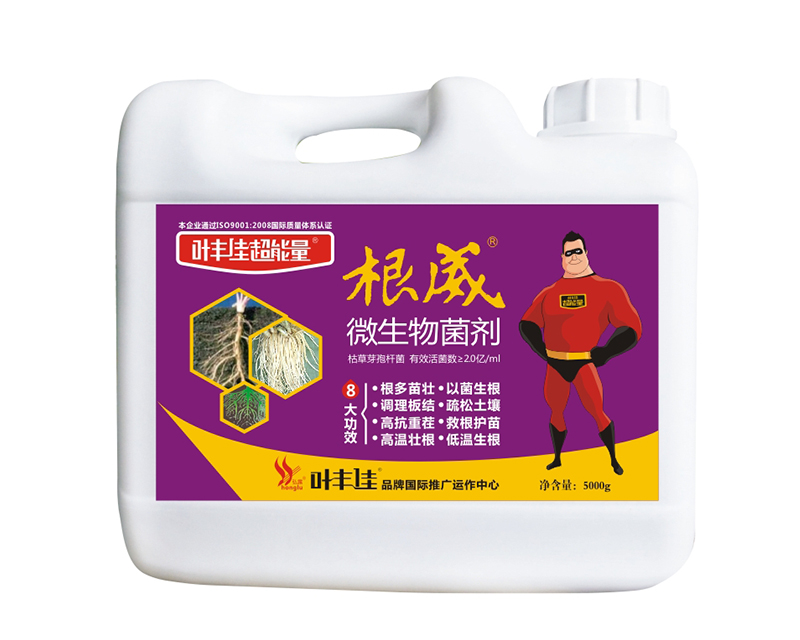 ����΢���������Ͱ��-�~�S�ѳ�����-���r��