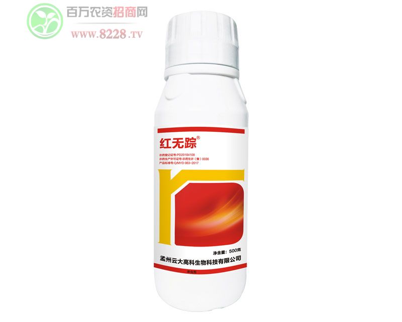 �t�oۙ������