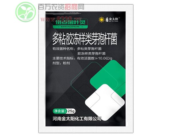 ��ճ���z�����ѿ�ߗU��-������-��̫�