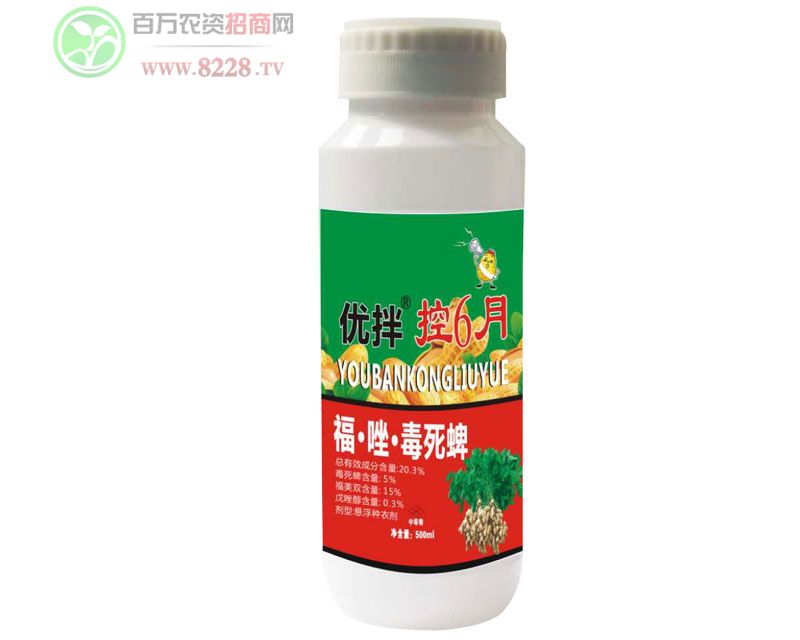 �����6��