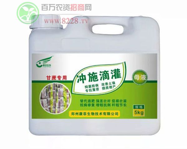 �_ʩ�ιࣨ���᪚����