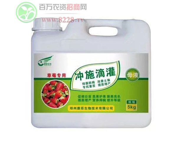 �_ʩ�ιࣨ��ݮ������