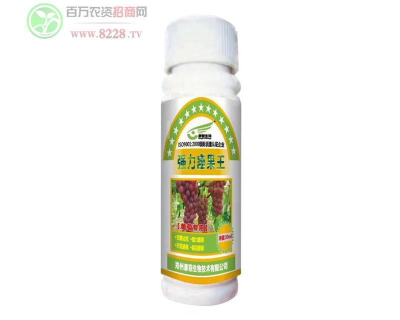 ����������-���Ѫ���-��