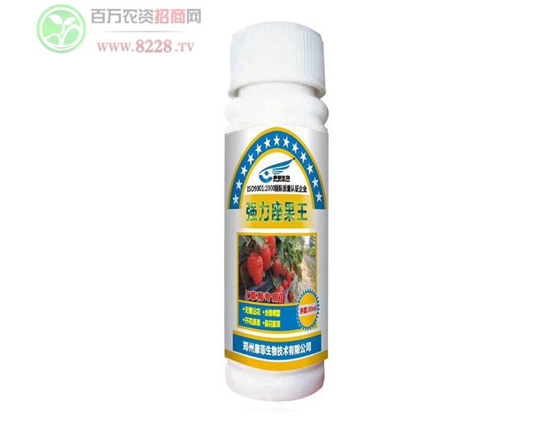 ����������-��ݮ������