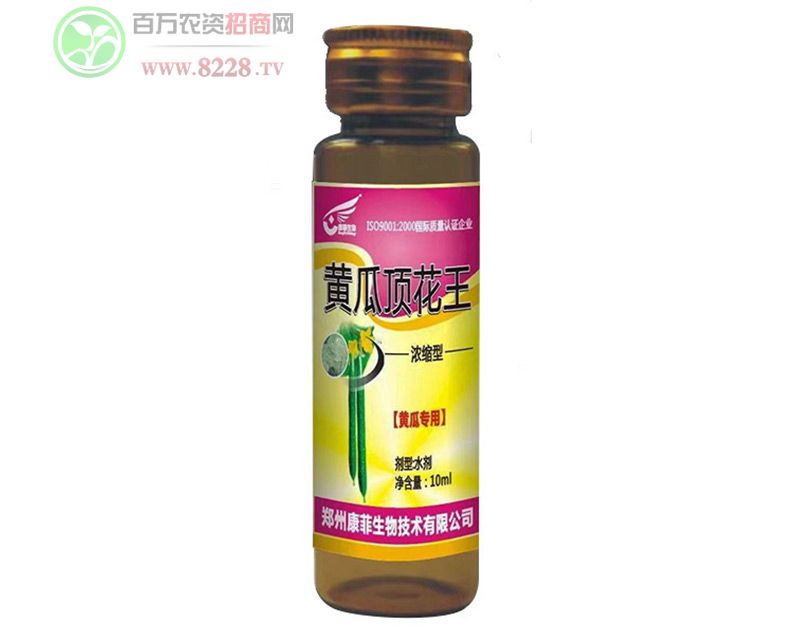 �S��픻���-�S�Ϫ���-��