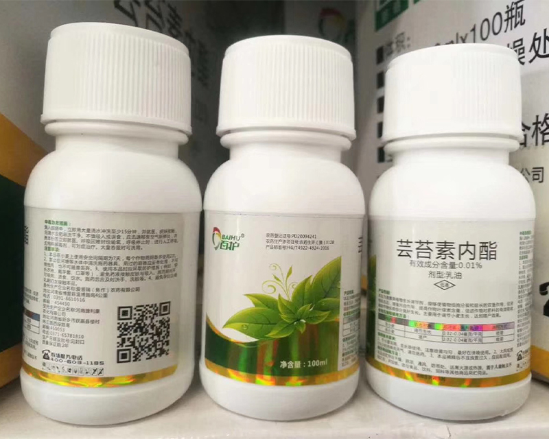 �|̦��100��