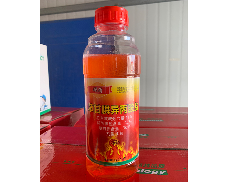 ����1000��