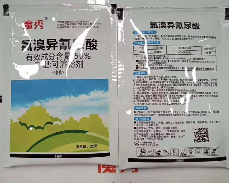 50%���宐������20��