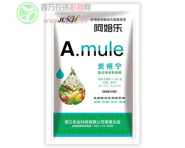 ̿����-30g