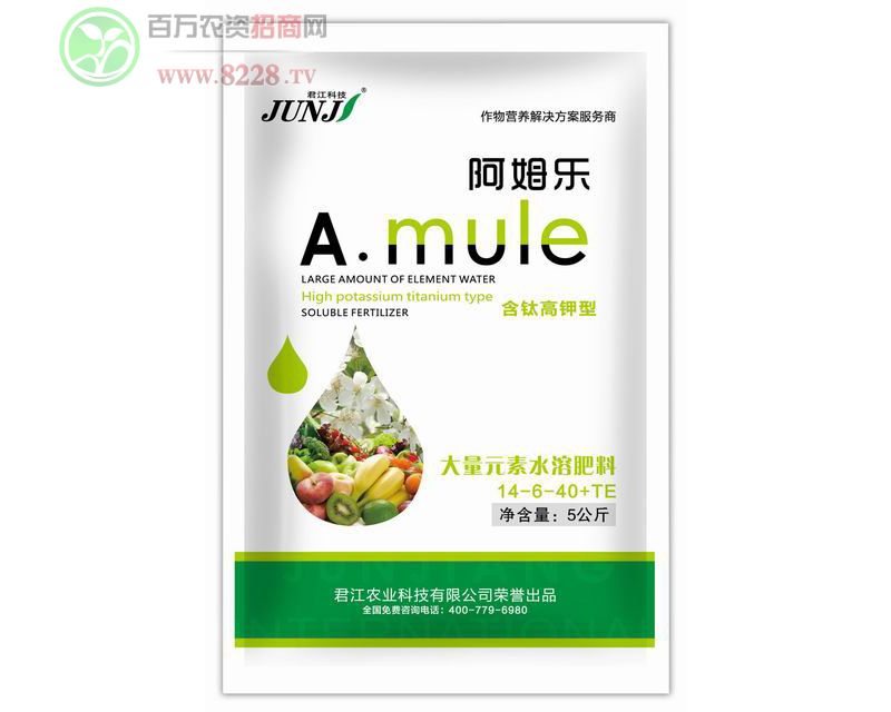 ��⁸����-5����