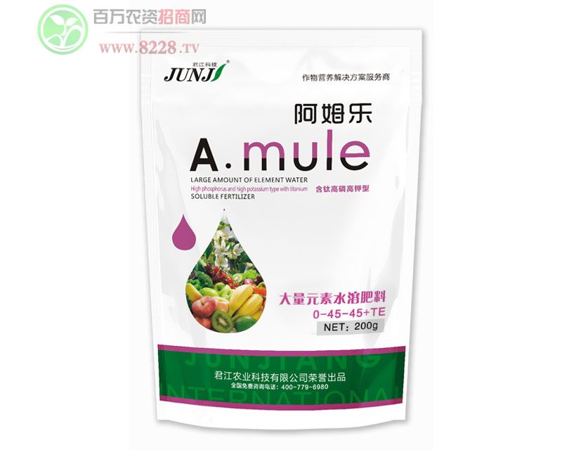 ��⁸��׸����-200��