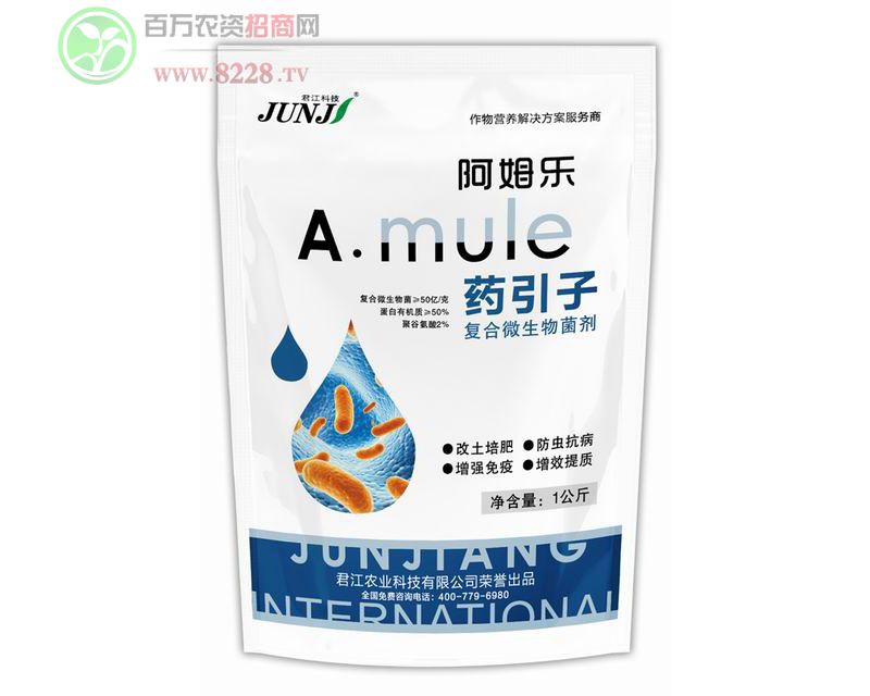 �ͺ�΢�������-1����