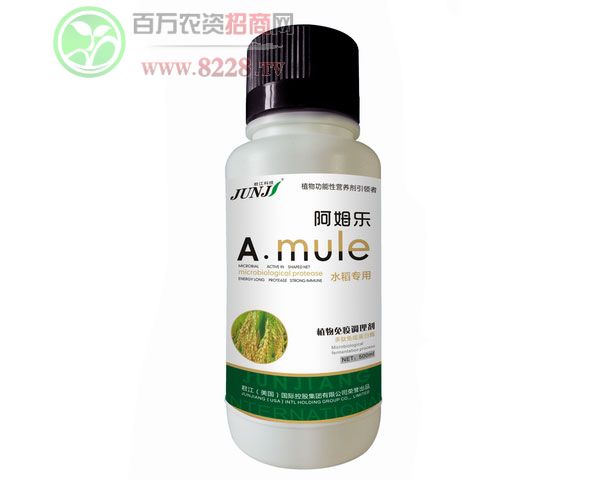 ֲ�������{�턩-ˮ������-500ml