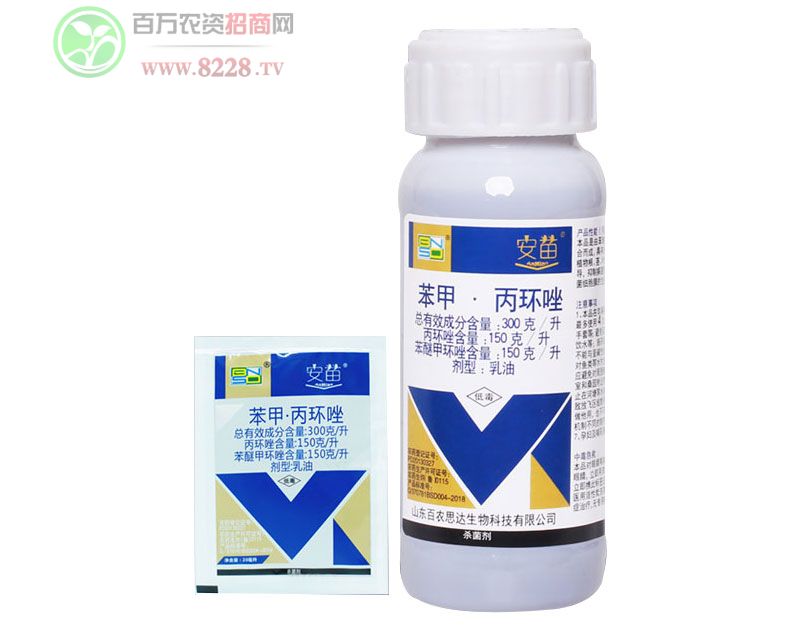 ���ױ��h����