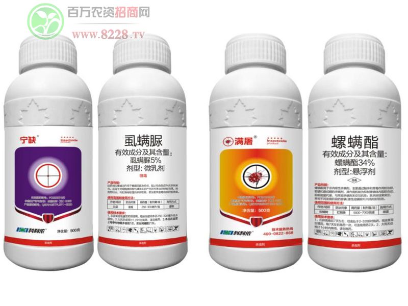 5%ʭ���壨�����ټt֩�몚��������+34%����