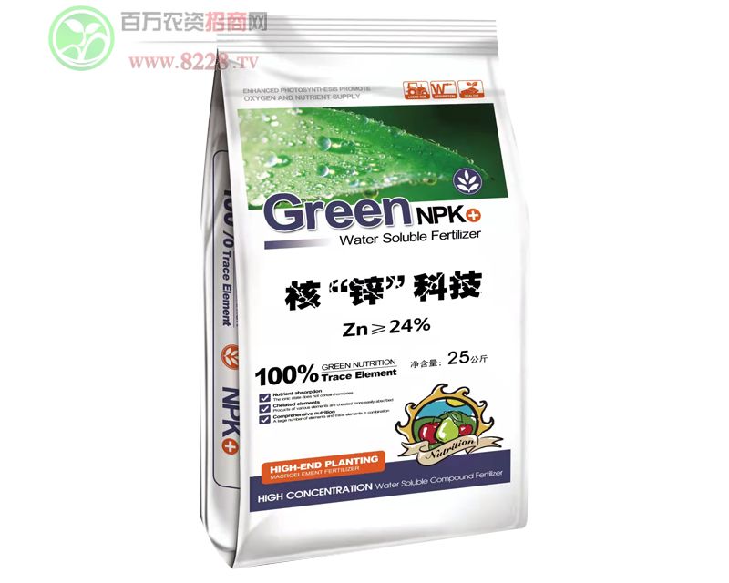 �ˡ��\���Ƽ�