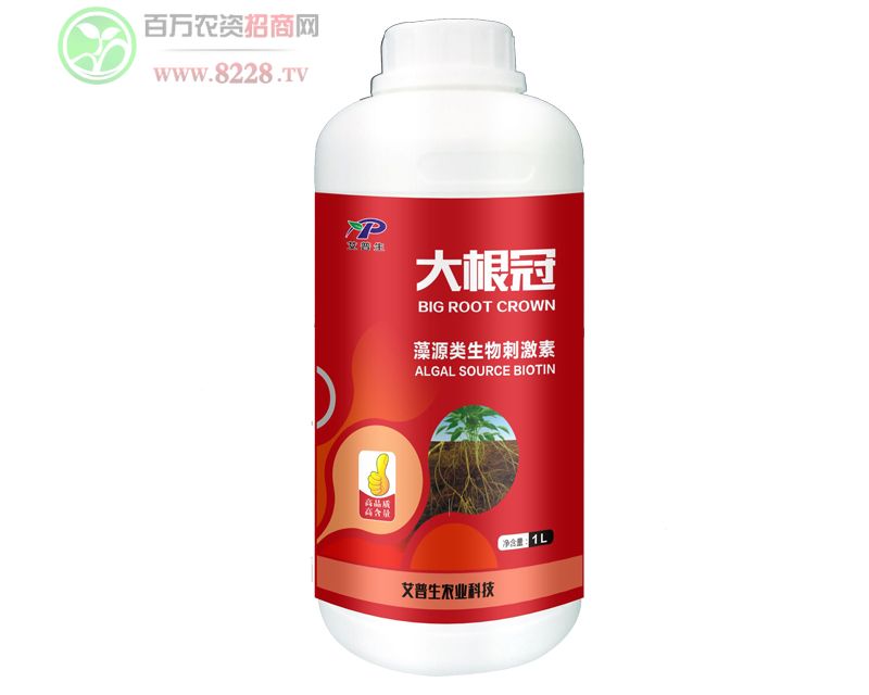 ����ڱ���1��1.3