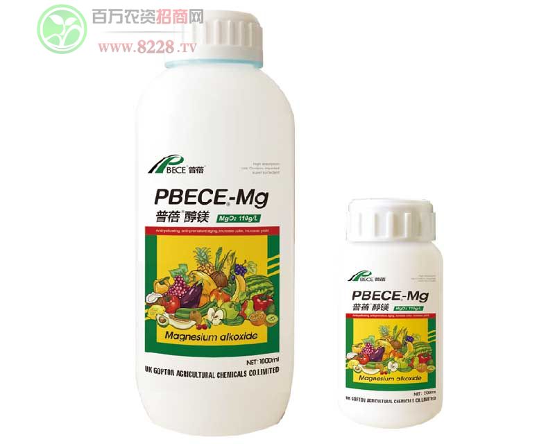 Ӣ���M(j��n)���������VPBECE-Mg