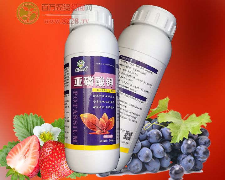 ��������~���-����ِ��