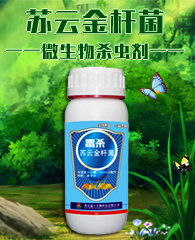 �������S����Ƽ����޹�˾