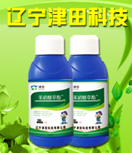 �|������Ƽ����޹�˾