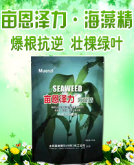 �A�������M(j��n)���ڣ����ڣ����޹�˾